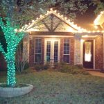 green and warm white color scheme tree wrap fort worth texas