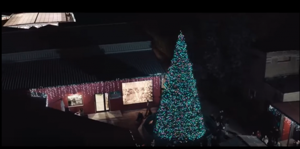 out door pre lit charismas trees fort worth tx