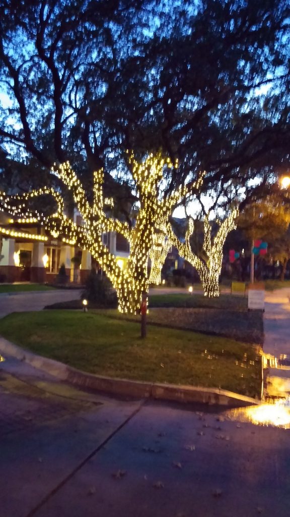 tree wraps argyle tx, Dallas tx,