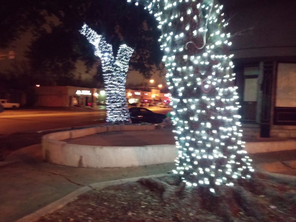 tree wraps Keller tx